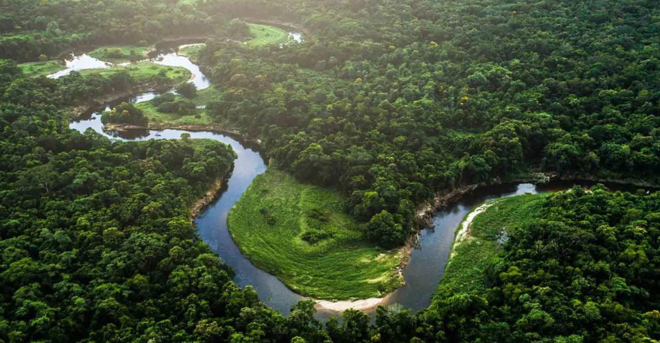 Buletedan-Technologie