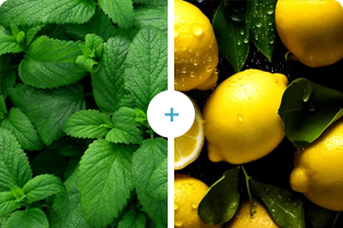 Buletedan-Technologie