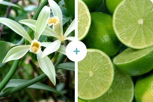 Buletedan-Technologie