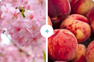 Buletedan-Technologie