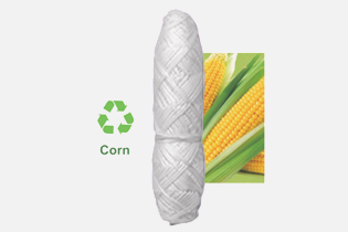 Buletedan-Technologie